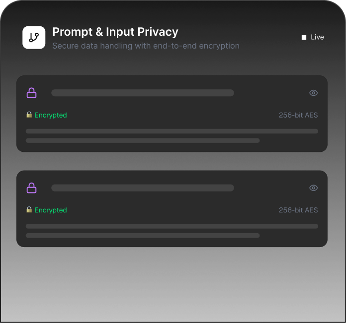 Prompt & Input Privacy